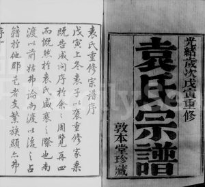 1878年修江阴袁氏宗谱[20卷首1卷]江苏敦本堂袁姓电子版族谱下载