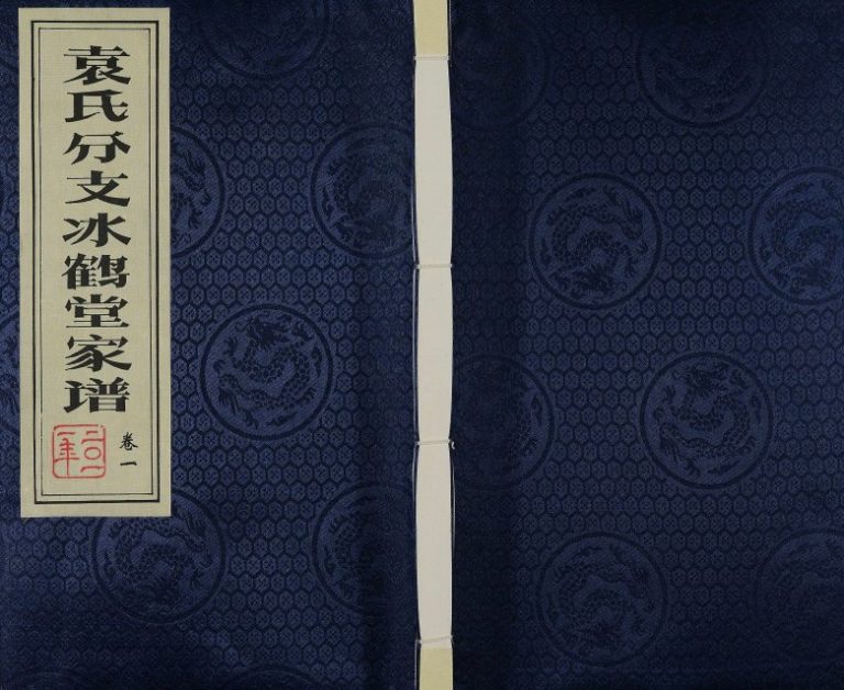 2011年修维扬江都袁氏分支冰鹤堂家谱[2卷]江苏小袁庄袁姓电子版族谱下载