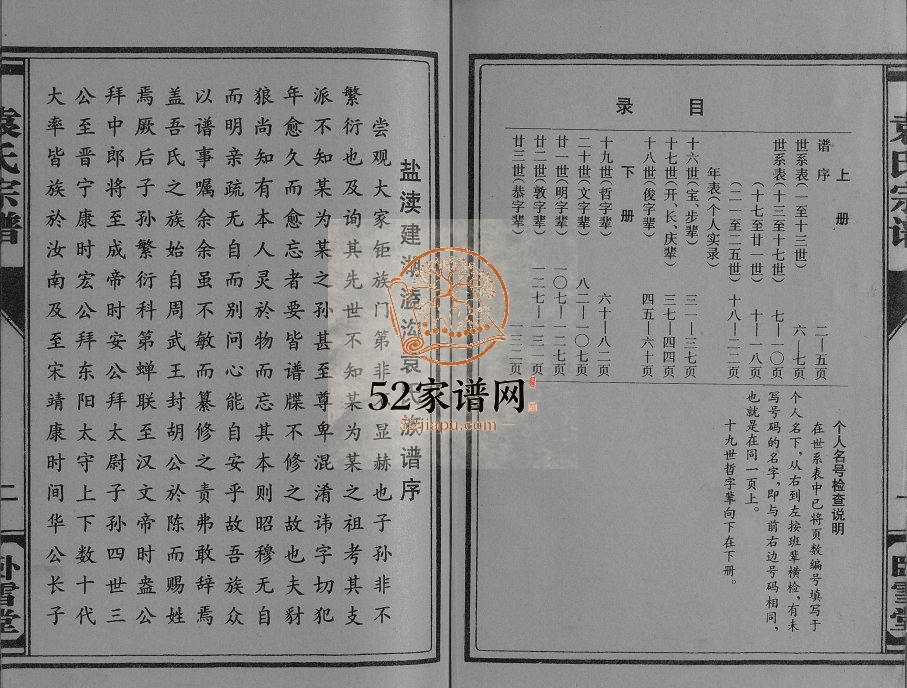 1994年修盐渎建湖溘沟袁氏族谱[上下册]江苏盐城卧雪堂袁姓电子版族谱下载