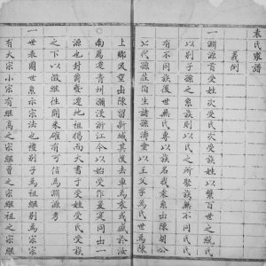 1845年修袁氏家谱 江苏南通袁姓电子版族谱下载