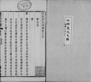 1878年修江阴袁氏支谱[20卷]江苏敦本堂袁姓电子版族谱下载