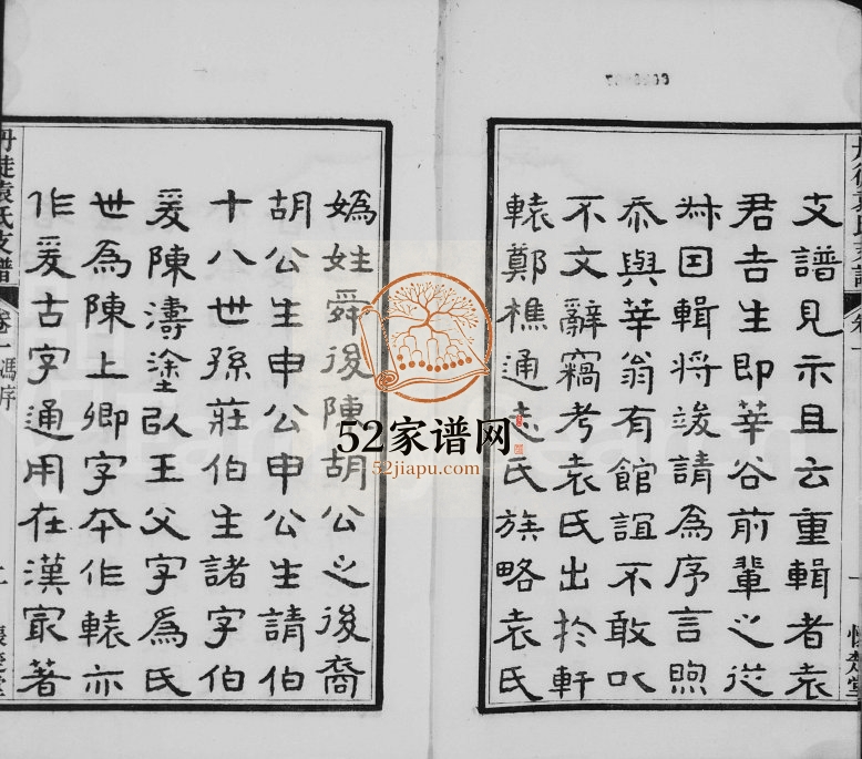 1921年修丹徒袁氏支谱[8卷]江苏镇江怀楚堂袁姓电子版族谱下载
