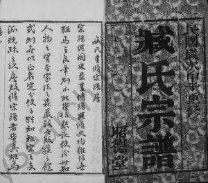1924年修臧氏宗谱[12卷]江苏武进昭德堂臧姓电子版族谱下载