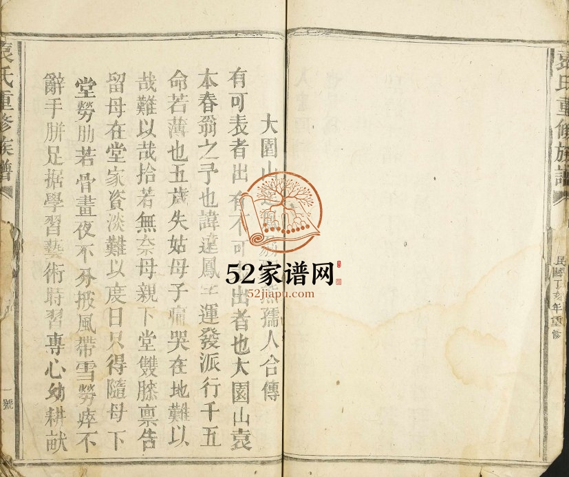 1917年袁氏重修族谱 江西崇仁 丰城袁姓电子版家谱下载