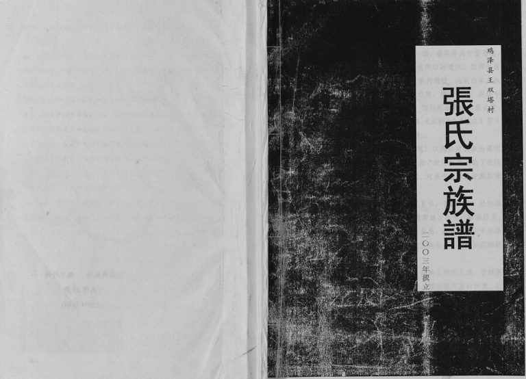 2003年修鸡泽县王双塔村张氏宗族谱 河北张姓电子版家谱下载
