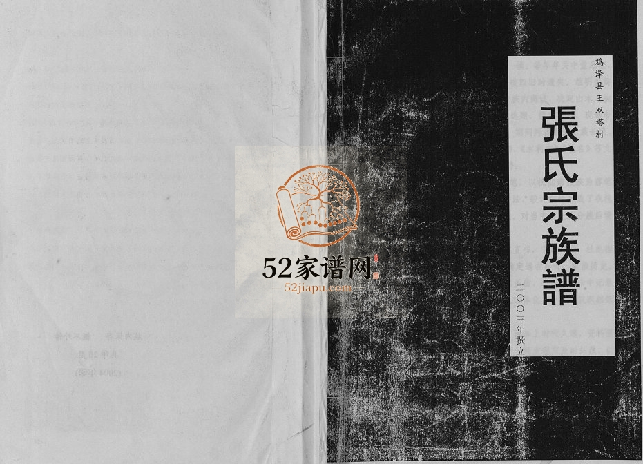 2003年修鸡泽县王双塔村张氏宗族谱 河北张姓电子版家谱下载