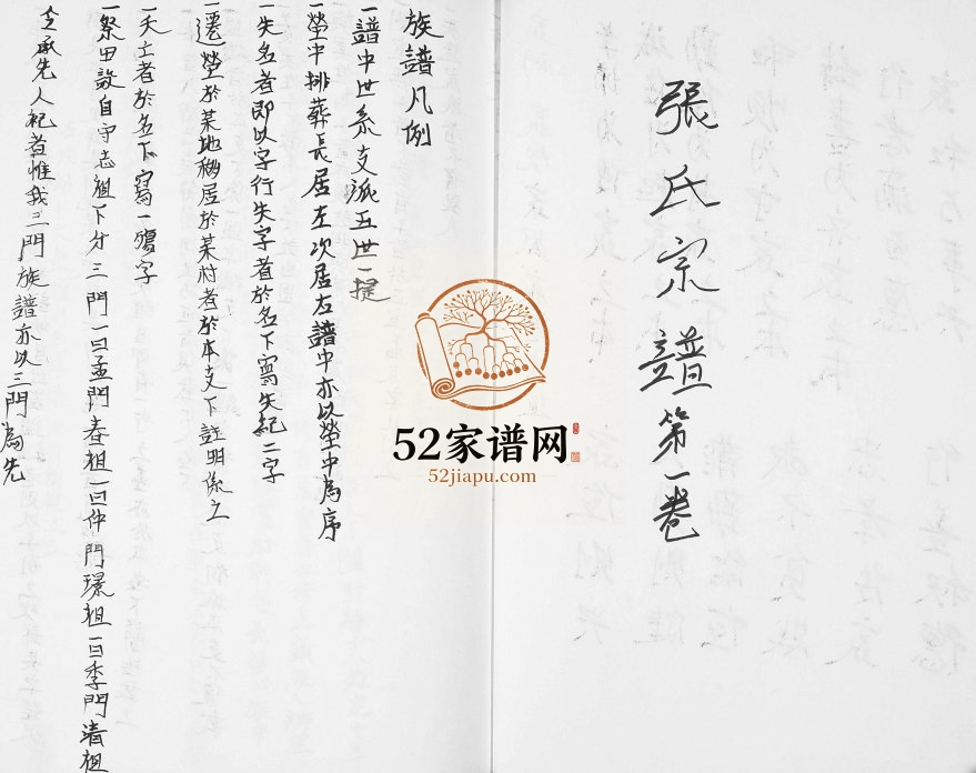 1927年续修张氏宗谱[3卷]河北宁晋张姓电子版族谱下载