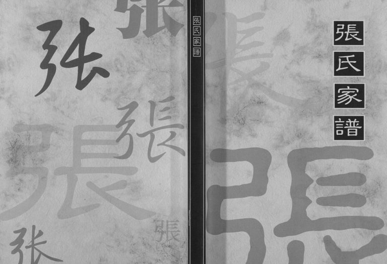 2010年修张氏家谱 河北清河张姓电子版族谱下载