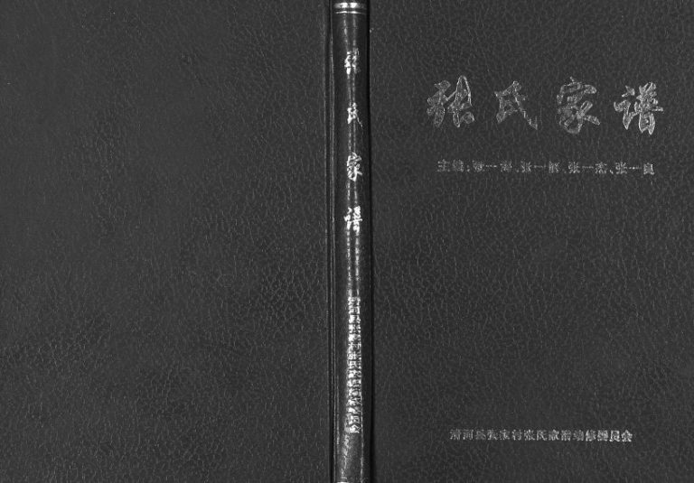 2004年修张氏家谱 河北清河张姓电子版族谱下载