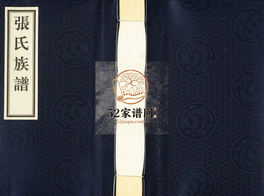 2016年修阜城县铁匠村张氏族谱 河北张姓电子版家谱下载