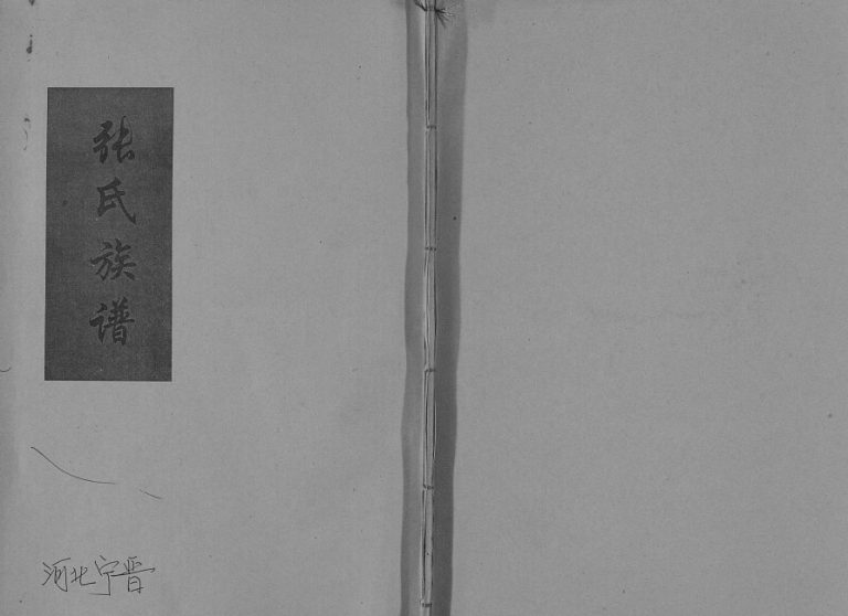 2009年修北齐庄张氏族谱 河北宁晋张姓电子版家谱下载