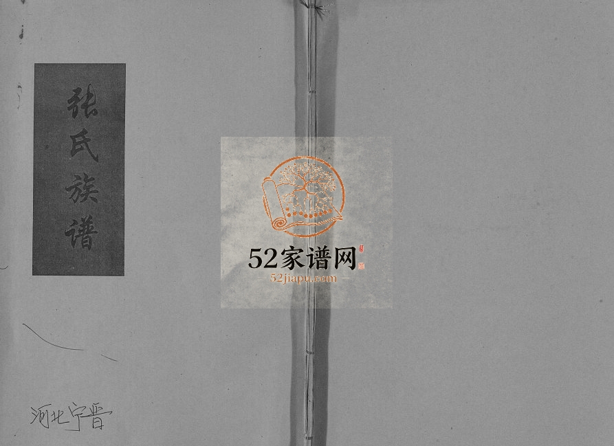 2009年修北齐庄张氏族谱 河北宁晋张姓电子版家谱下载