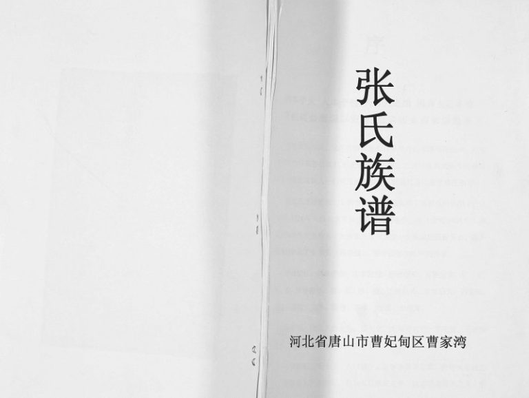 2013年修张氏族谱河北省唐山市曹妃甸区曾家湾支谱 张姓电子版家谱下载