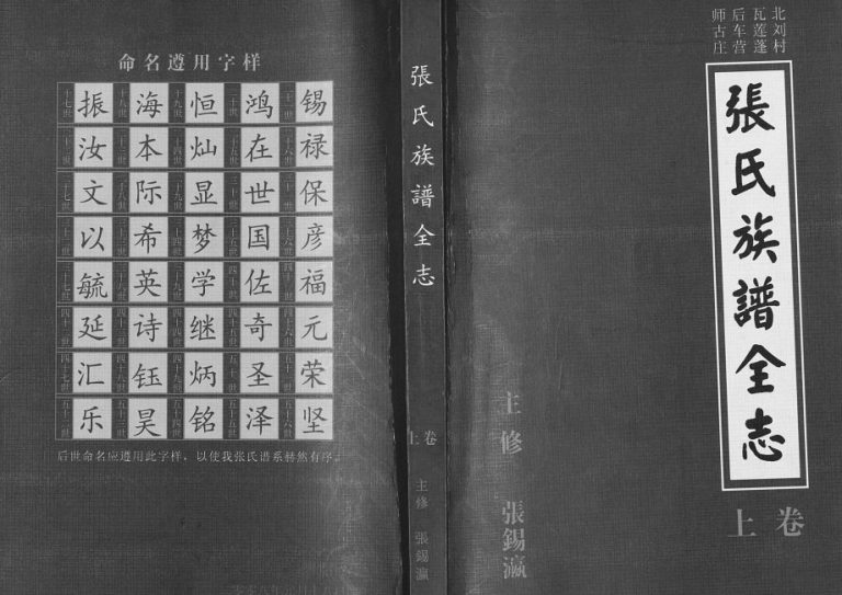 2008年修张氏族谱全志[2卷]河北衡水张姓电子版家谱下载