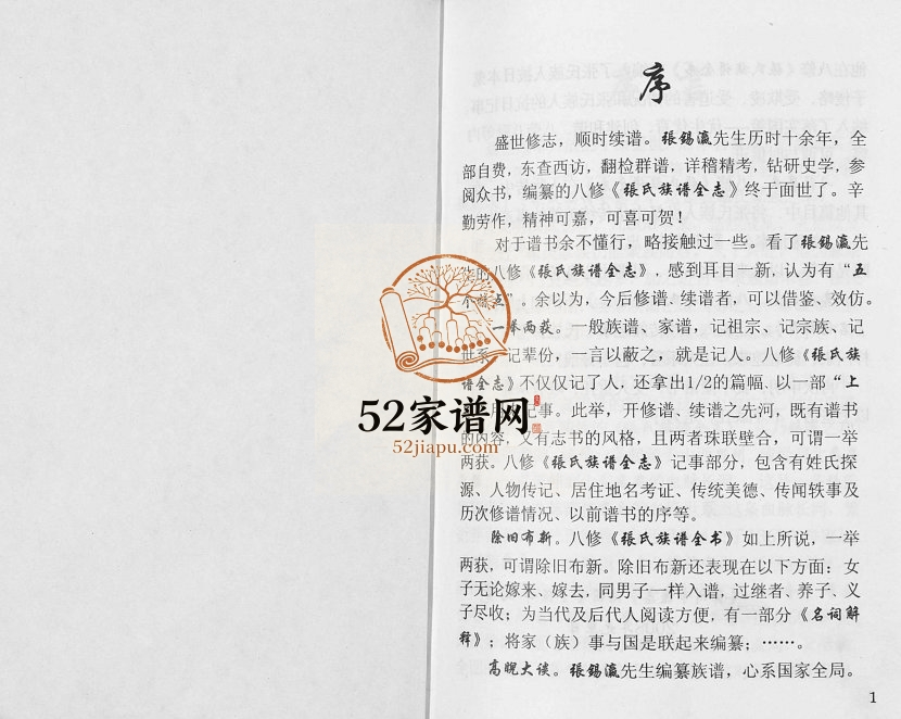 2008年修张氏族谱全志[2卷]河北衡水张姓电子版家谱下载