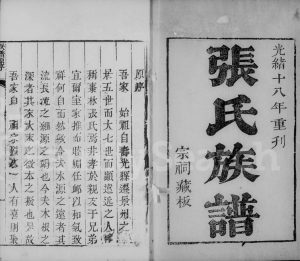 1922年修景州枣林张氏族谱 河北景县张姓电子版家谱下载