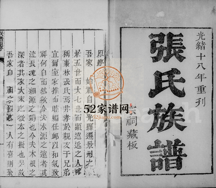 1922年修景州枣林张氏族谱 河北景县张姓电子版家谱下载