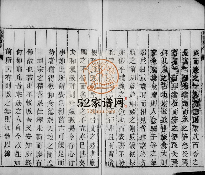 1922年修景州枣林张氏族谱 河北景县张姓电子版家谱下载