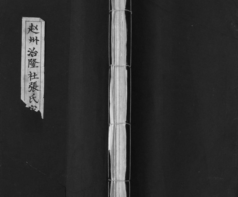 2000年修赵州治隆社张氏家谱 河北赵县清河堂张姓电子版族谱下载