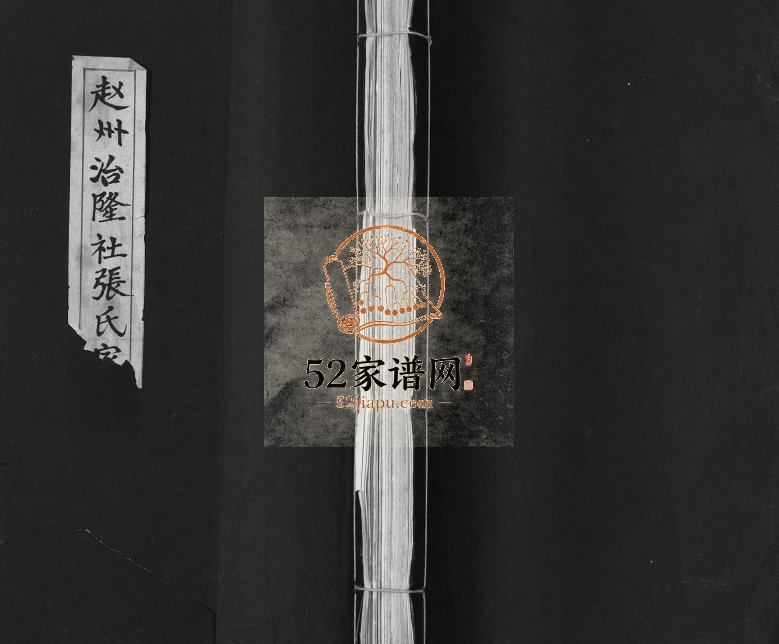2000年修赵州治隆社张氏家谱 河北赵县清河堂张姓电子版族谱下载