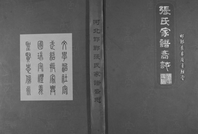 2013年修邯郸东辛庄勇胜堂张氏家谱裔志 河北丛台张姓电子版族谱下载
