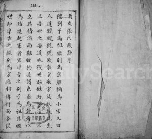 1850年修西门张氏宗谱 河北南皮张姓电子版族谱下载