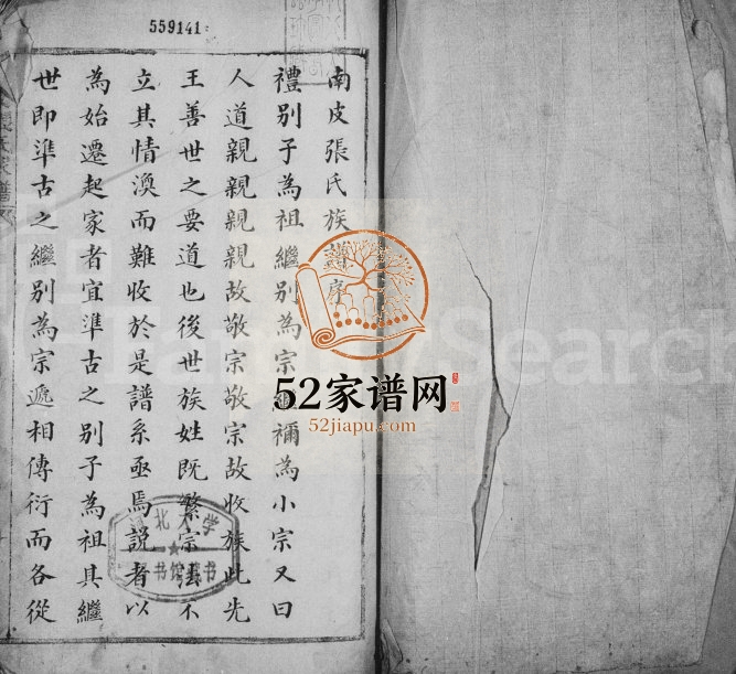 1850年修西门张氏宗谱 河北南皮张姓电子版族谱下载