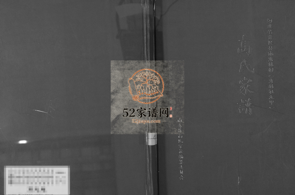2015年修北省井陉县南秀林村秀林村九甲高氏家谱 河北高姓电子版族谱下载