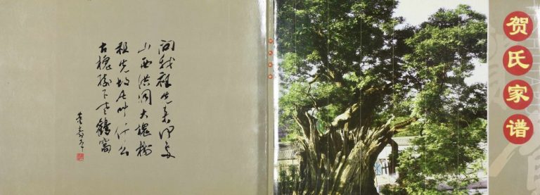 2008年修新续贺氏家谱[不分卷]河北邯郸贺金堂贺姓电子版族谱下载