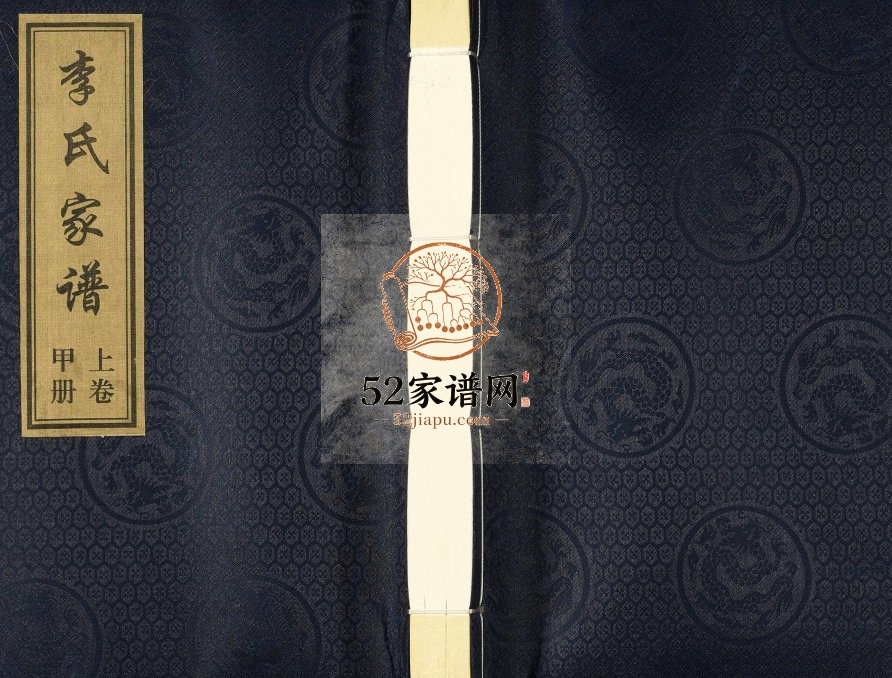 2010年五修河北省海兴县黄骅市李氏家谱[2卷]沧州李姓电子版族谱下载