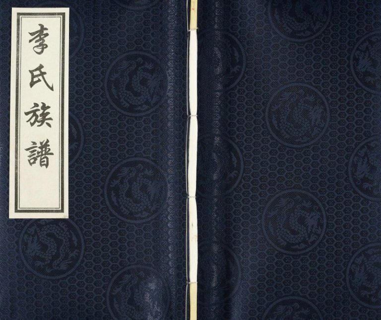 2017年修河北省东光县霞口镇堡子村李氏家谱 李姓电子版族谱下载