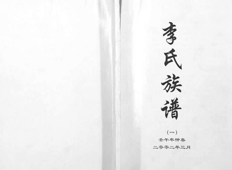 2002年修李氏族谱 河北蠡县李姓电子版家谱下载