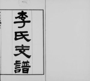 1921年修永年李氏支谱[2卷]河北李姓电子版族谱下载