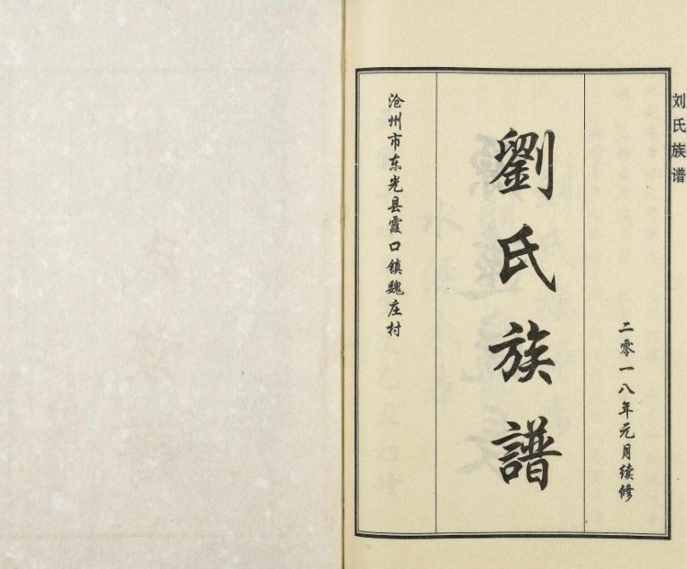 2018年修沧州市东光县霞口镇魏庄村刘氏族谱 河北刘姓电子版家谱下载