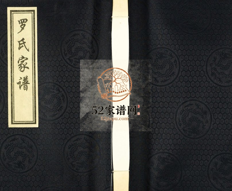 2017年修罗氏民俯公家族谱 河北泊头太和堂罗姓电子版家谱下载