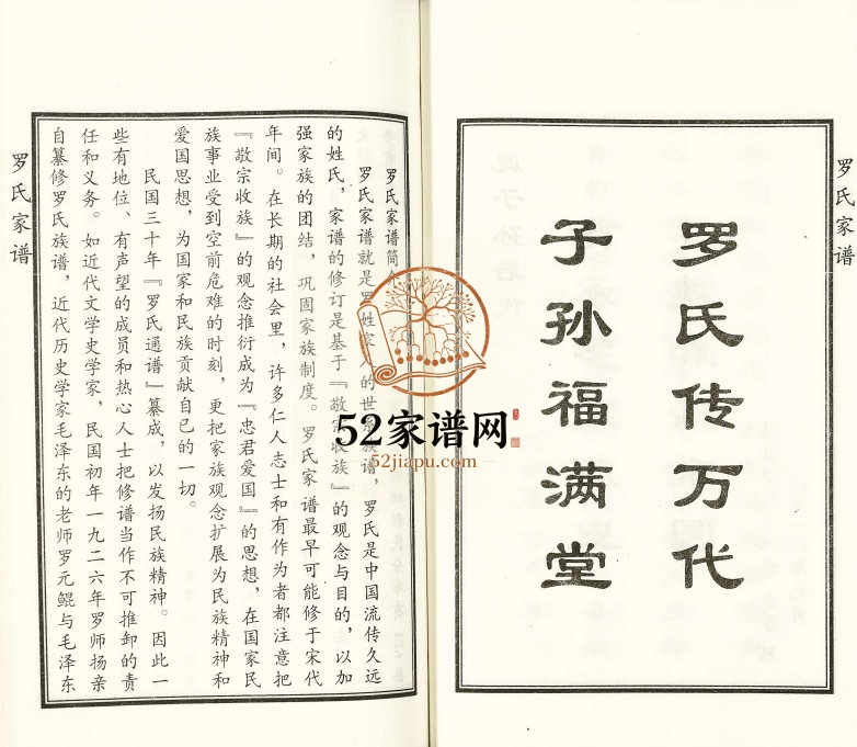 2017年修罗氏民俯公家族谱 河北泊头太和堂罗姓电子版家谱下载