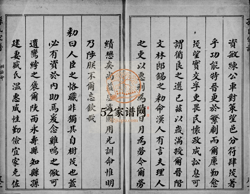 1932年修沧州孙氏家谱[4卷]河北孙姓电子版族谱下载