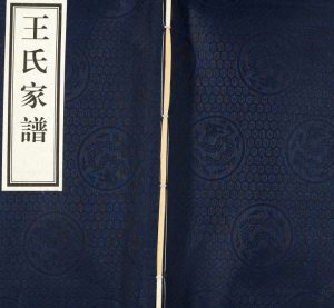 2015年修阜城县石井村王氏家谱 河北 沧州王姓电子版族谱下载