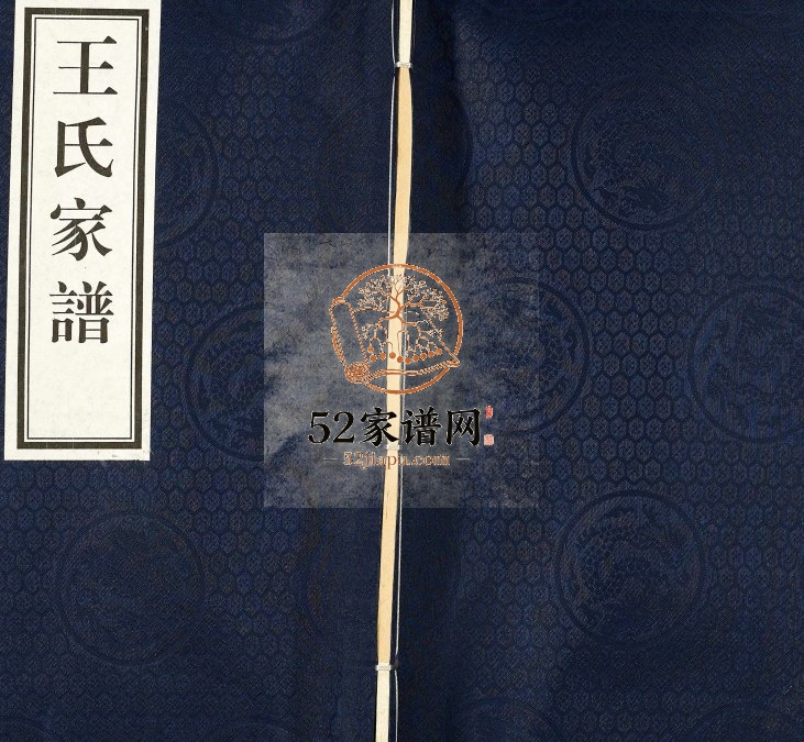 2015年修阜城县石井村王氏家谱 河北 沧州王姓电子版族谱下载