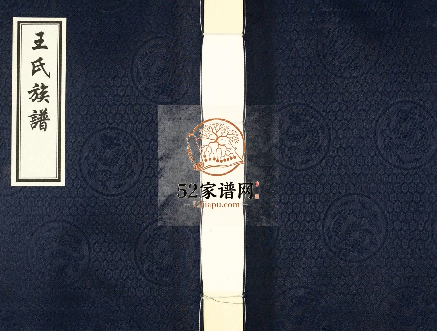 2011年四修唐家堡王常丰村王氏族谱 河北沧州王姓电子版家谱下载