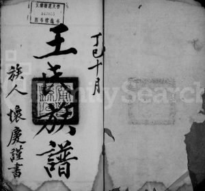 1917年修王氏族谱[10卷]河北宁晋王姓电子版家谱下载