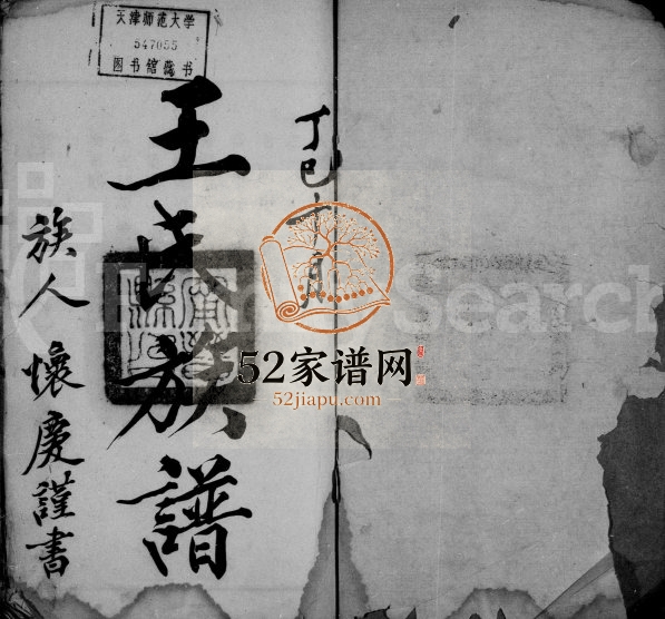 1917年修王氏族谱[10卷]河北宁晋王姓电子版家谱下载