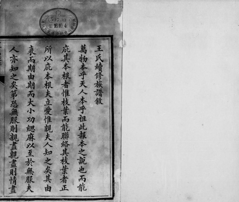 1855年修宁晋王氏族谱[10卷]河北王姓电子版家谱下载