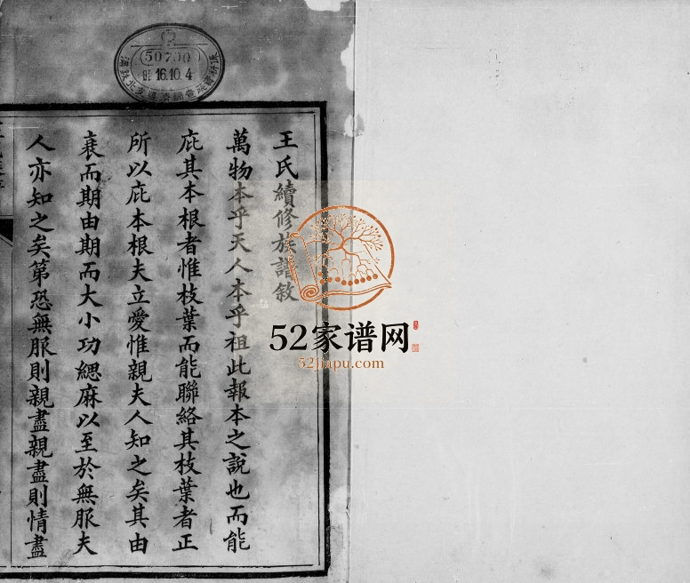 1855年修宁晋王氏族谱[10卷]河北王姓电子版家谱下载
