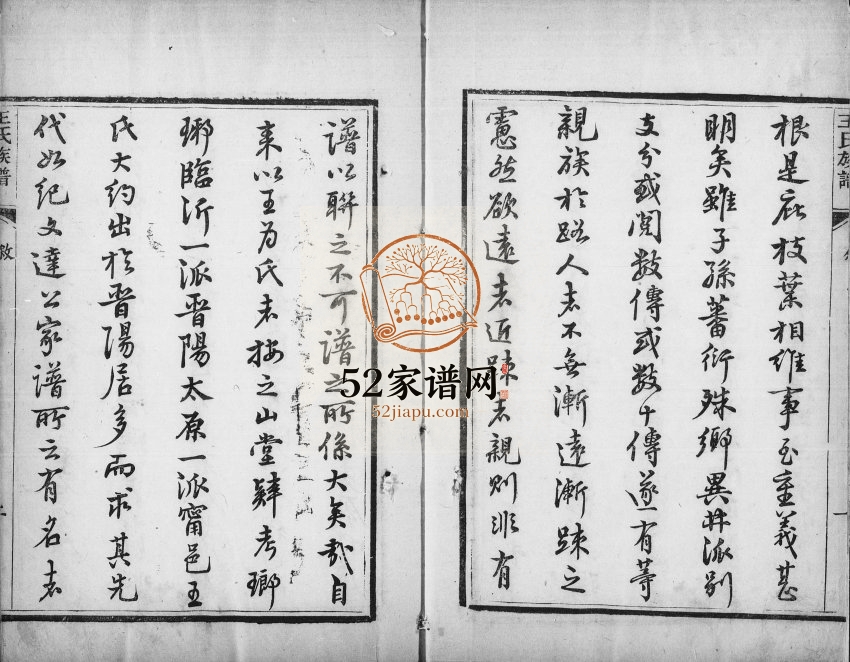 1914年修宁晋王氏族谱[10卷]河北积德堂王姓电子版家谱下载
