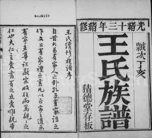 1887年修王氏族谱[10卷]河北宁晋积德堂王姓电子版家谱下载