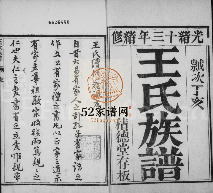 1887年修王氏族谱[10卷]河北宁晋积德堂王姓电子版家谱下载