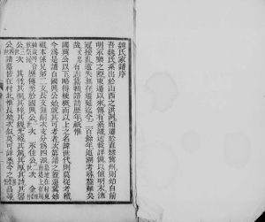 1928年修冀县魏氏家谱 河北冀州区魏姓电子版族谱下载