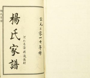 2017年修河北省沧县后侯村杨氏家谱 沧州杨姓电子版族谱下载