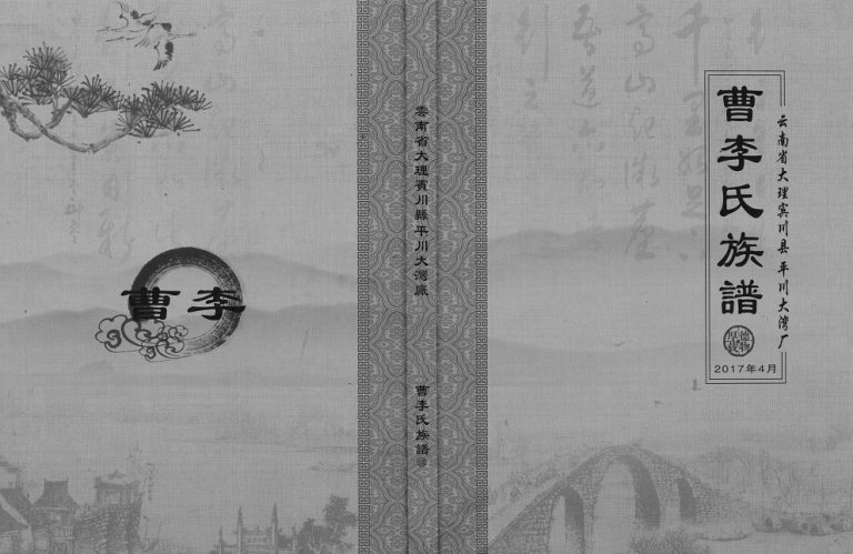 2017年修云南省大理宾川县平川大湾厂曹李氏族谱 李姓电子版家谱下载